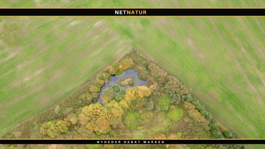 Stop afskovningen lyder det i brev fra dansk minister