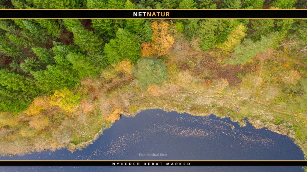 Danmark blander sig blandt de store vildmarksnationer