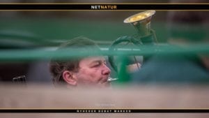 En dag med jagthornet