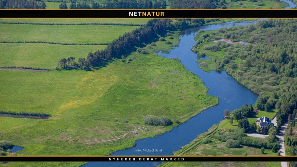 Video viser danske laks på gydevandring