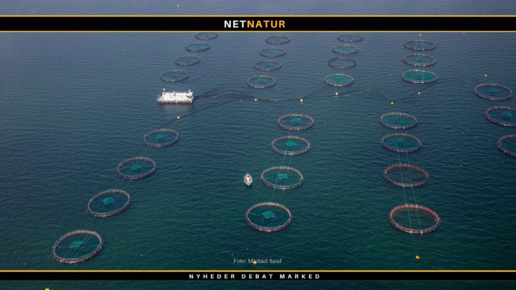 Minister kræver fuldstændigt overblik over havbrugsområdet Minister kræver fuldstændigt overblik over havbrugsområdet