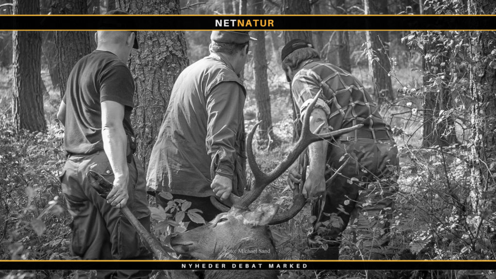 10 mest læste i hjortedebatten