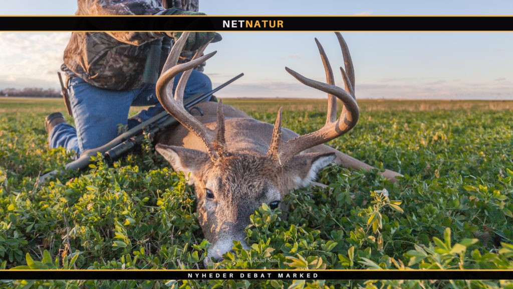 Morgensnak uden filter