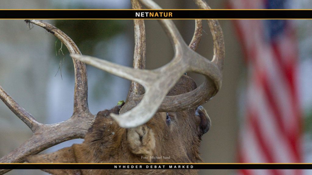 SCI kondolerer med tabet af George H.W. Bush 