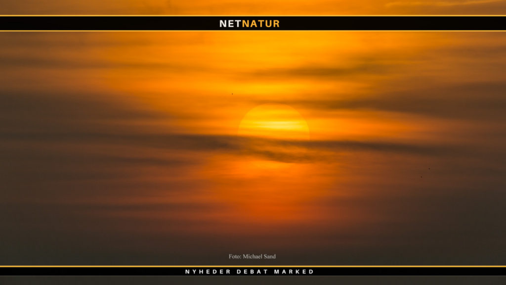 Årets korteste dag - nu går de mod lysere tider igen