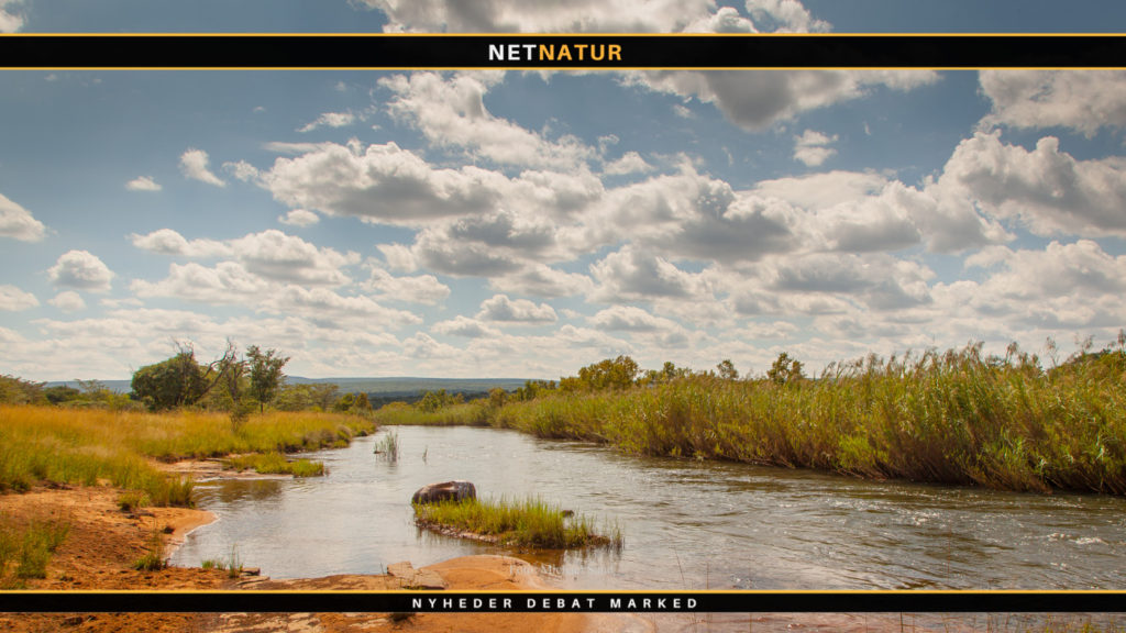 Dansk hjælp til indiens forurenede floder