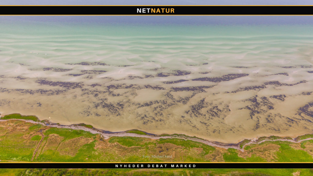 Rosenfeldt gods modtager 15. Juni Fondens naturpris