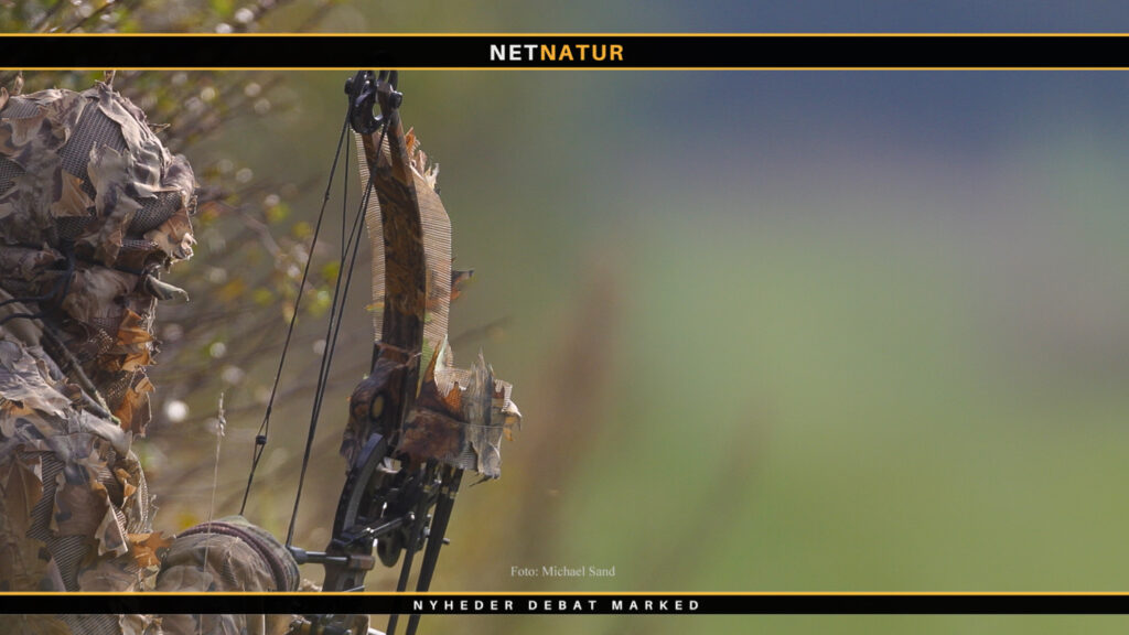 Slut med buejagt på større hjortevildt