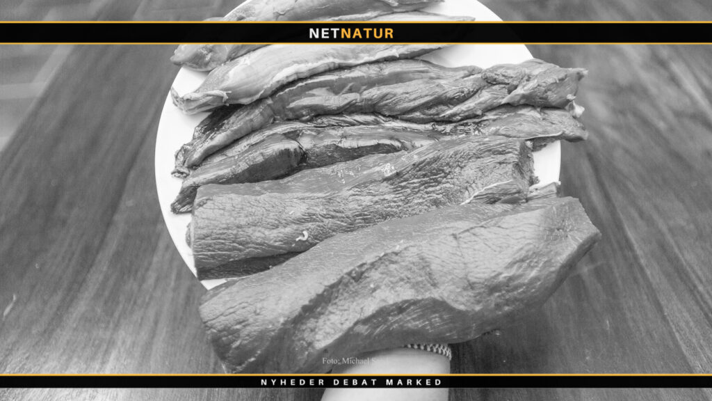 Iværksætter fra TV kan opleves med stand på outdoormesse