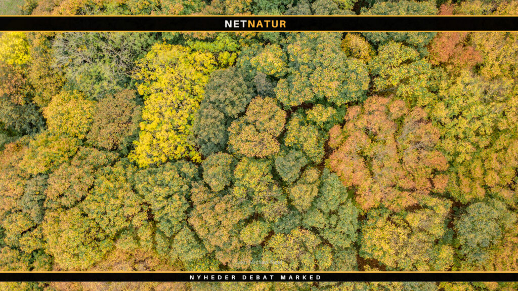 DN og L&F vil skabe 100.000 hektar natur