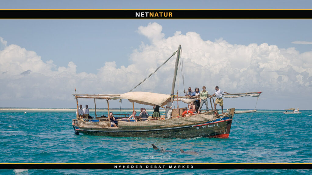 FN’s miljøforsamling i Kenya ser på plastik i verdenshavene