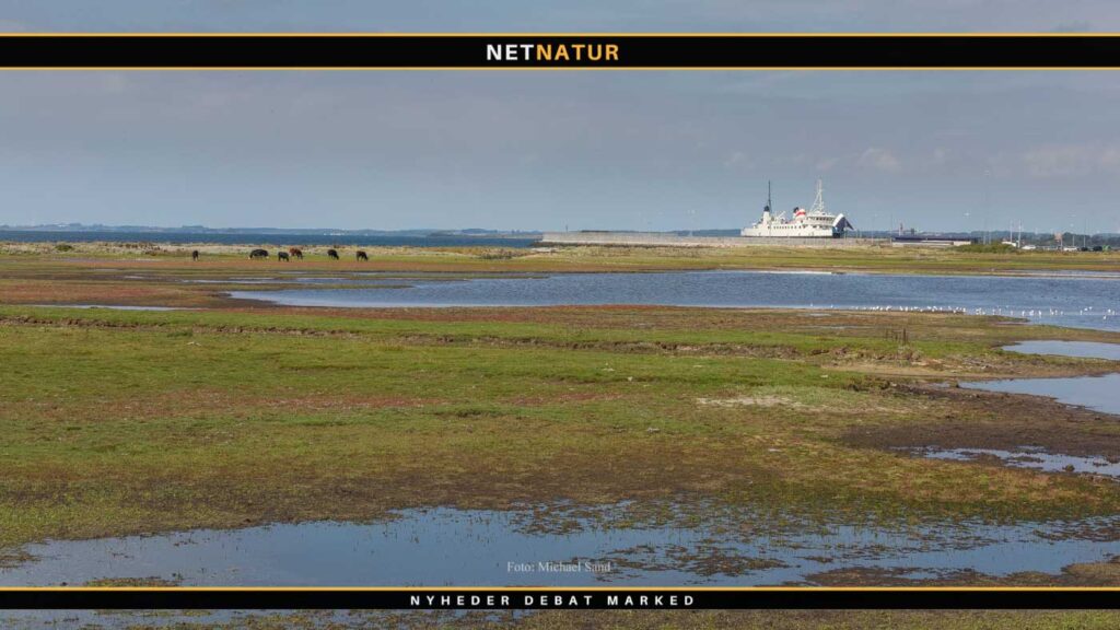 Information om § 3 naturbeskyttelse