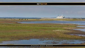 Information om § 3 naturbeskyttelse