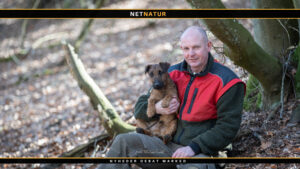 Westfalen Terrier som jagthund og familiehund