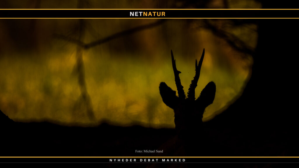 VFR skyder valget i gang med endnu en debat om arealbegrænsning