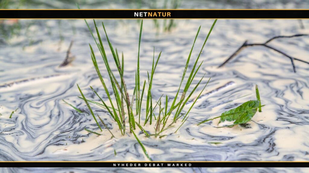 Folketinget ophæver fredningen af tre naturgrunde