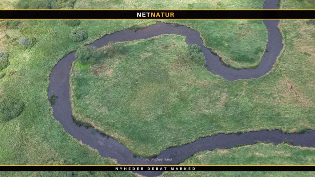 Laksekvoter for 2019