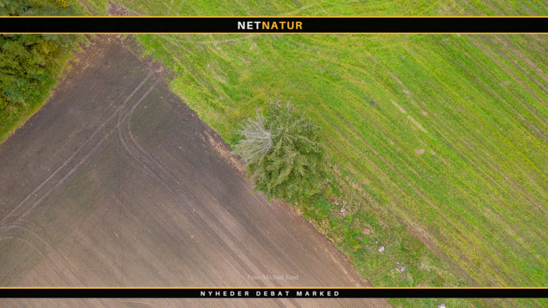 Landbrugsarealer udlægges til natur