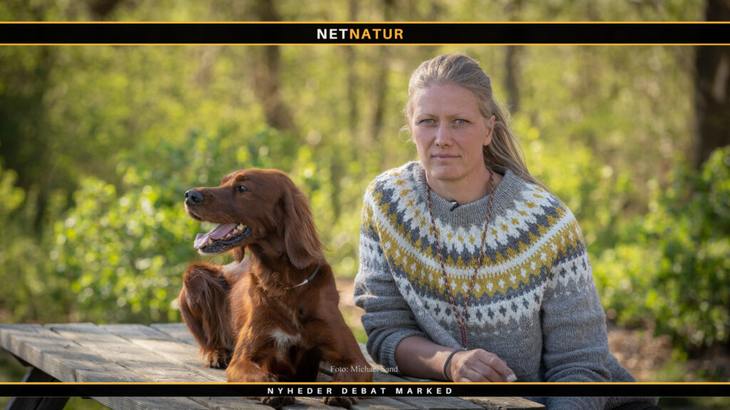 Heidi Nørgaard Jensen anvendte kritik positivt og gik til helt til tops i dansk jagthundesport