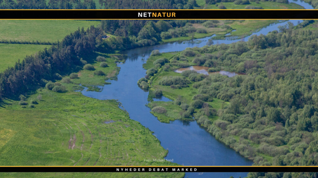 Laks på 120 cm fanget i Storåen