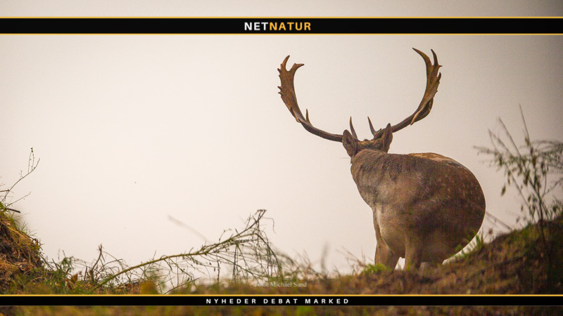 Danmarks Jægerforbund mister plads i Friluftsrådets bestyrelse, som har valgt ny formand