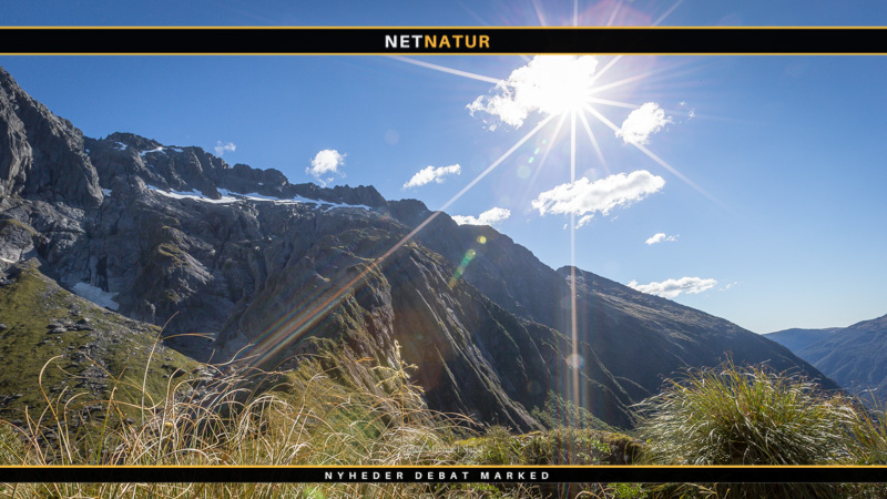 Lig fundet under eftersøgning af dansk jæger i New Zealand