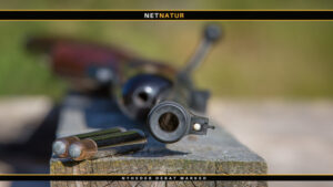 .460 Weatherby Magnum - den ultimative kraft