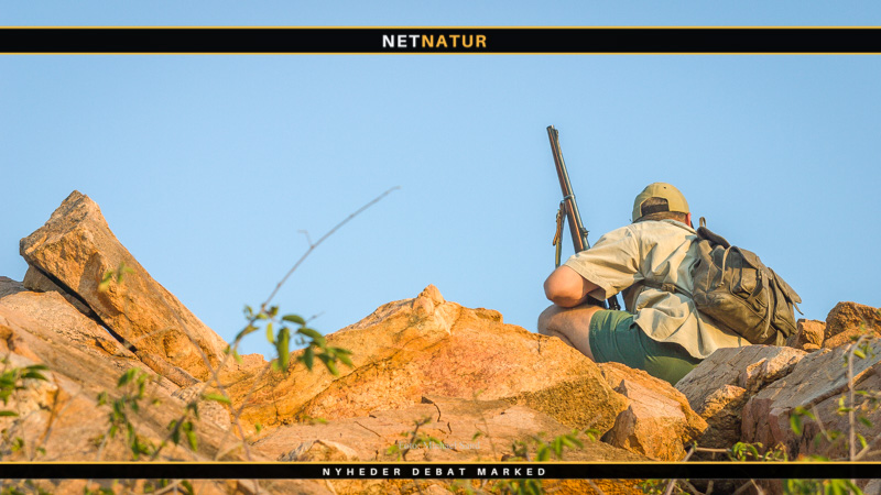 Gode råd om safari påklædning