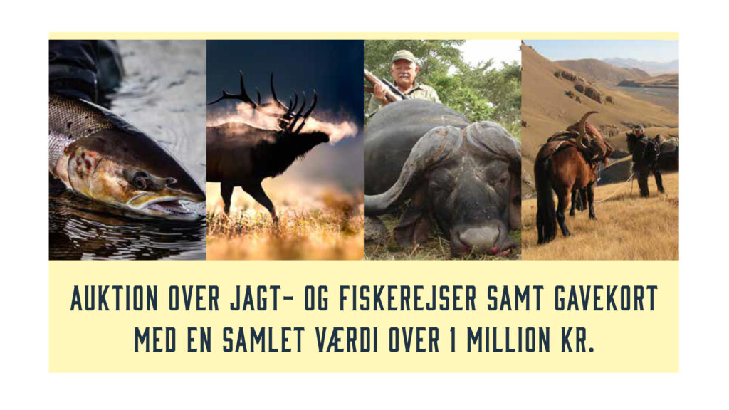 Brahetrolleborg Game Fair: Rejseauktion til over en million kroner