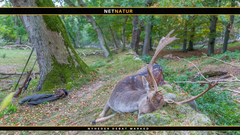 Læserbrev ser på jagt og et gigantisk overforbrug