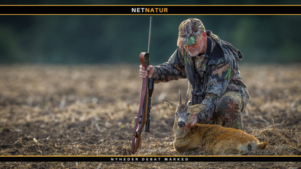 Våbentilladelser bliver digitale Bly og jagt med riffel