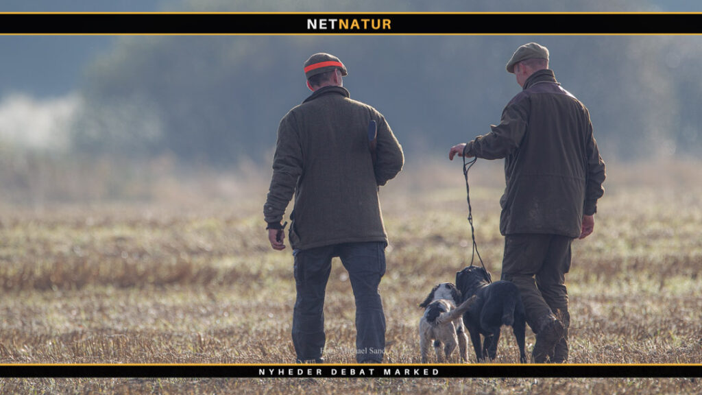 Dokumentation til dansk gæstejagttegn Dansk Gæstejagttegn