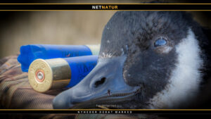 If you can’t beat them – eat them”