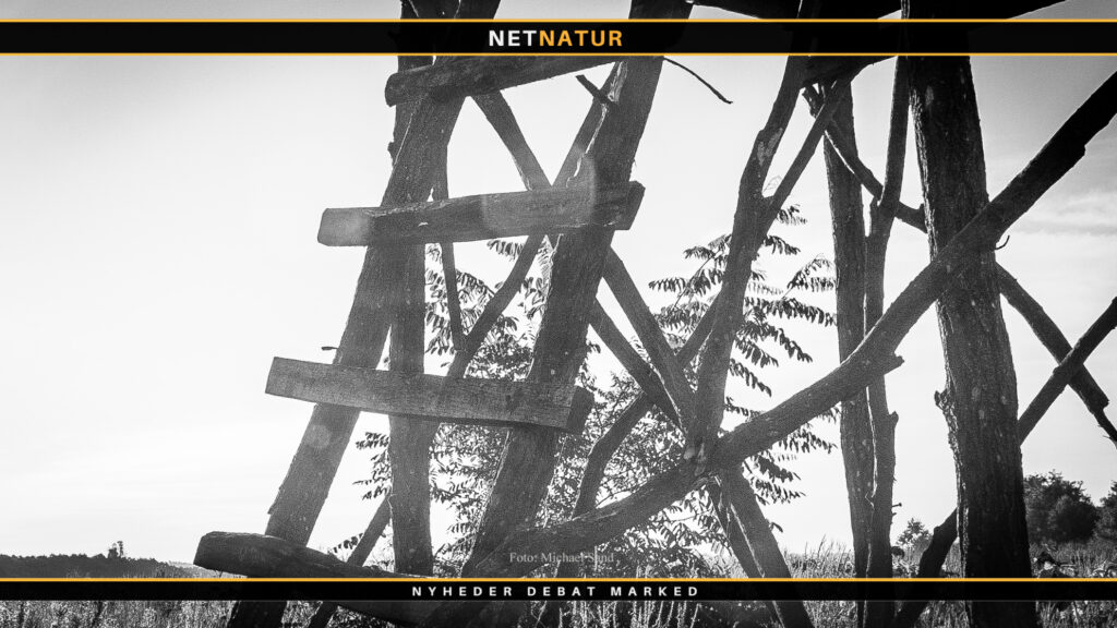 Læserbreve om jagt: De mest læste Læserbreve på Netnatur