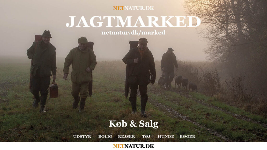 Netnatur.dk:MARKED