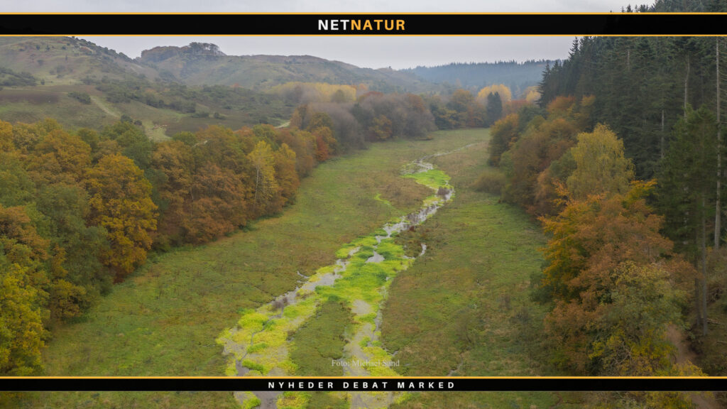 Aarhus Universiet og Lea Wermelin
