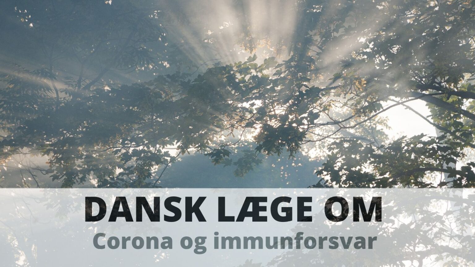 Dansk læge om Covid-19 og immunforsvar
