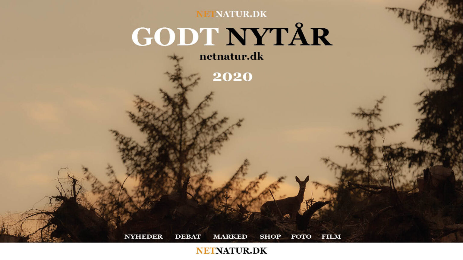 Godt nytår Godt-Nytår