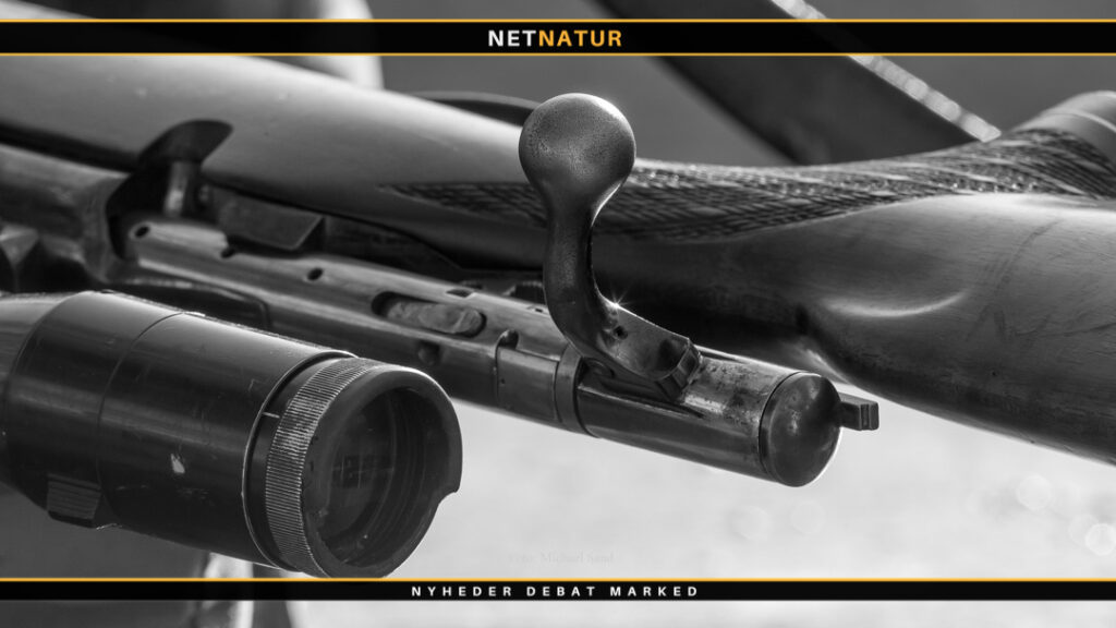 Begyndende nytænkning