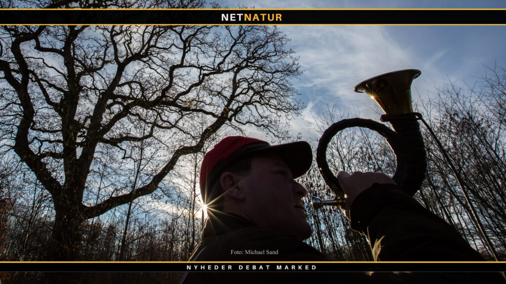 Jagtsæson - den sidste?