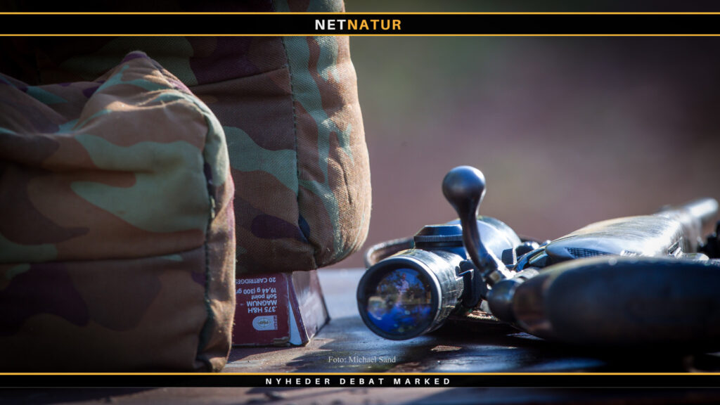 Jagtfoto kostede koncerndirektør jobbet Job og jagt