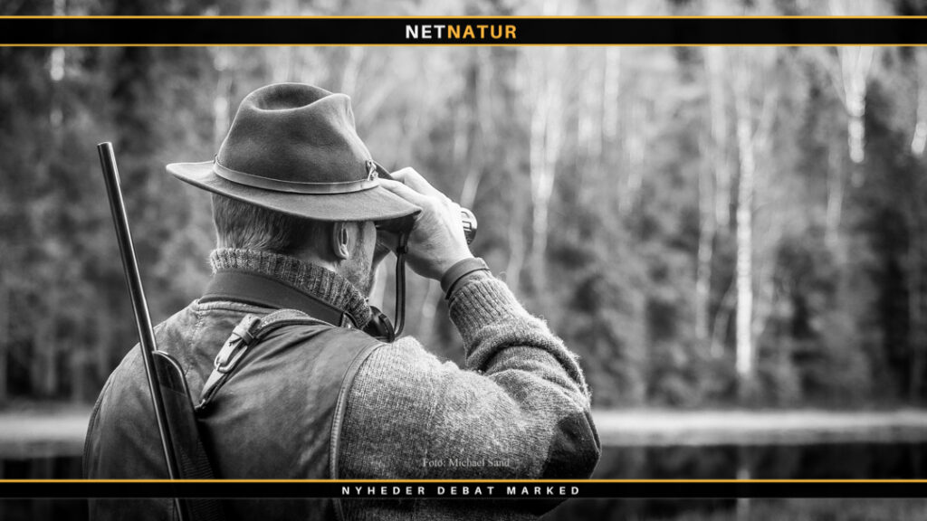 Kugler til riffeljagt