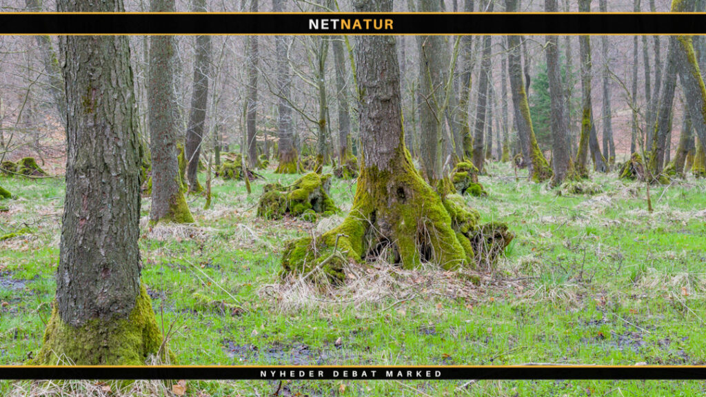 Danske arter i risiko for at uddø