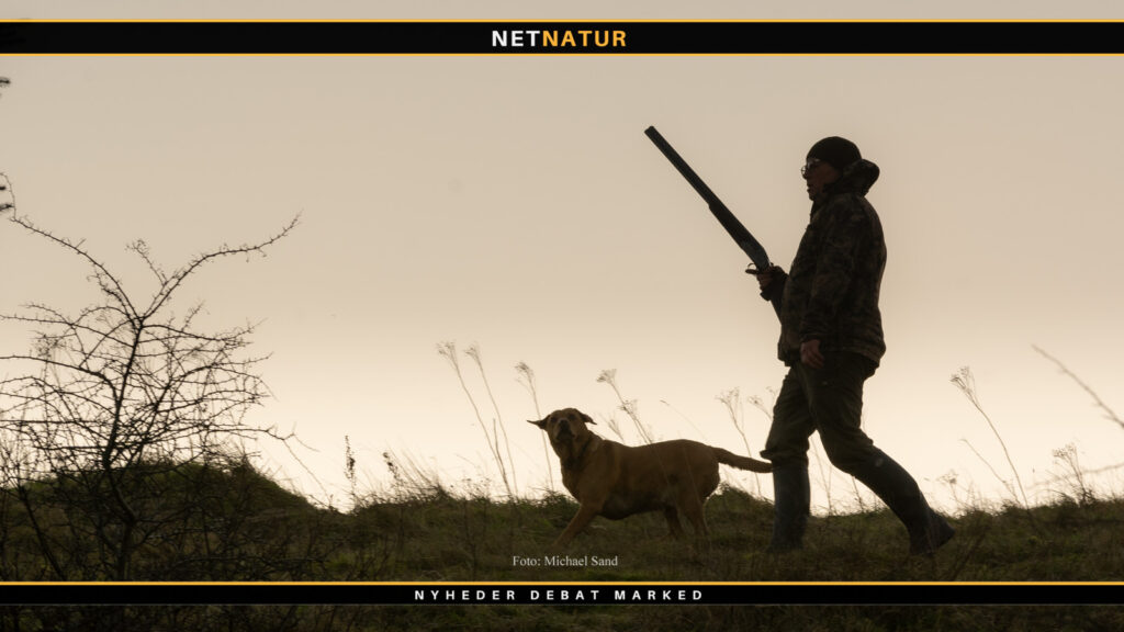 Skydeprøve til jagt med hagl, riffel og bue