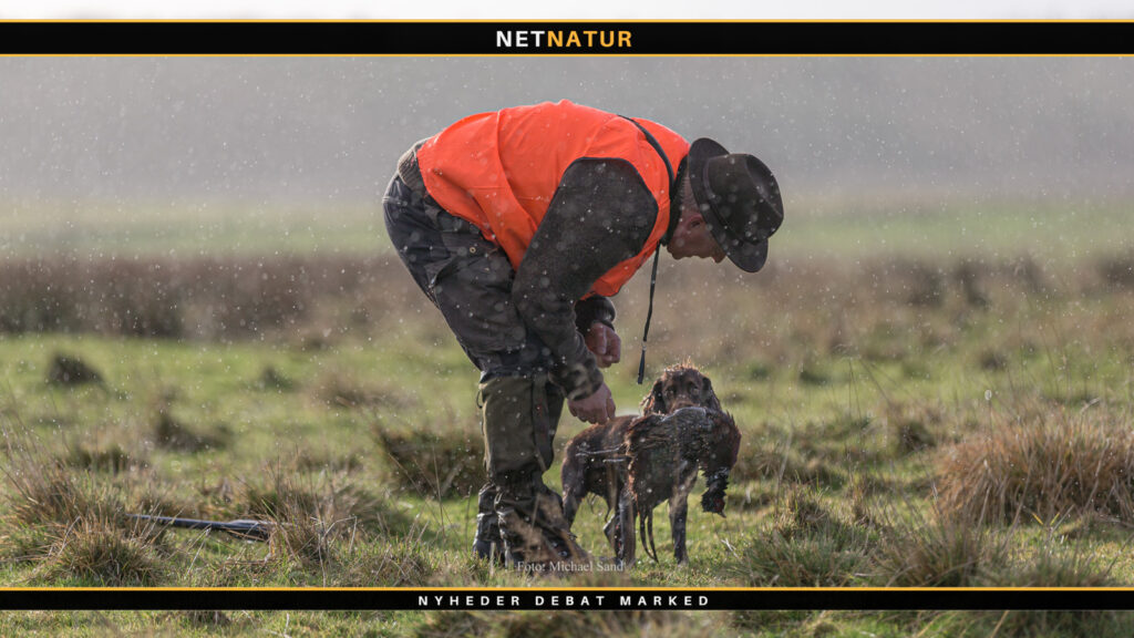 Undesøgelse om jagt