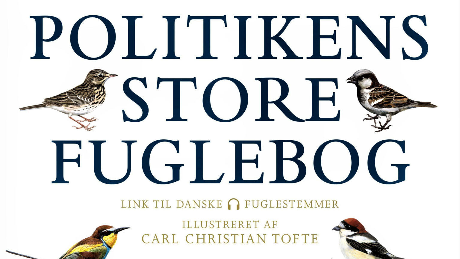 Flot fuglebog fortæller nyt fra fuglenes verden