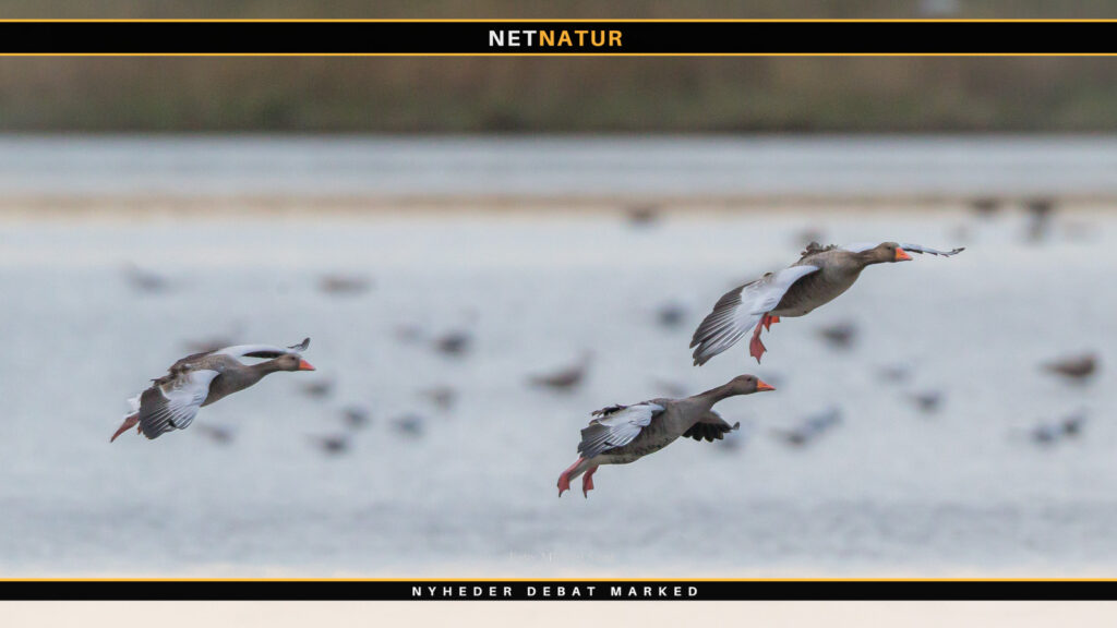 Christian Clausen HB-medlem