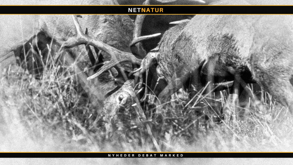 Jagt og Outdoor 2020