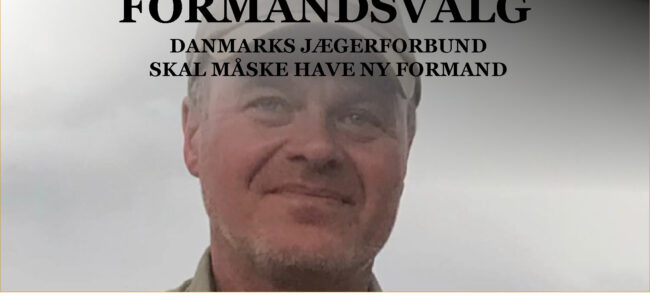 Jesper Lindgaard