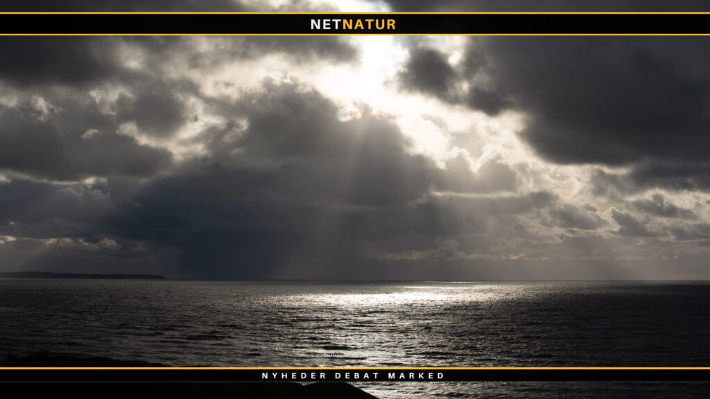 Miljø og brændeovn